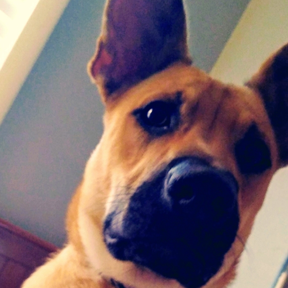 UPDATE - Picture 3 of 3